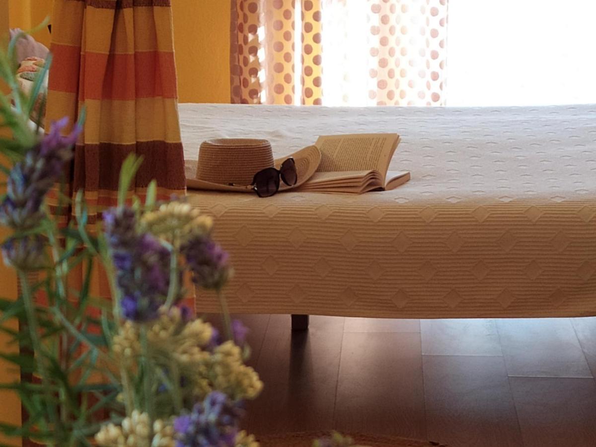 Cozy Apartments Danica Novalja With Terrace - First Floor Esterno foto