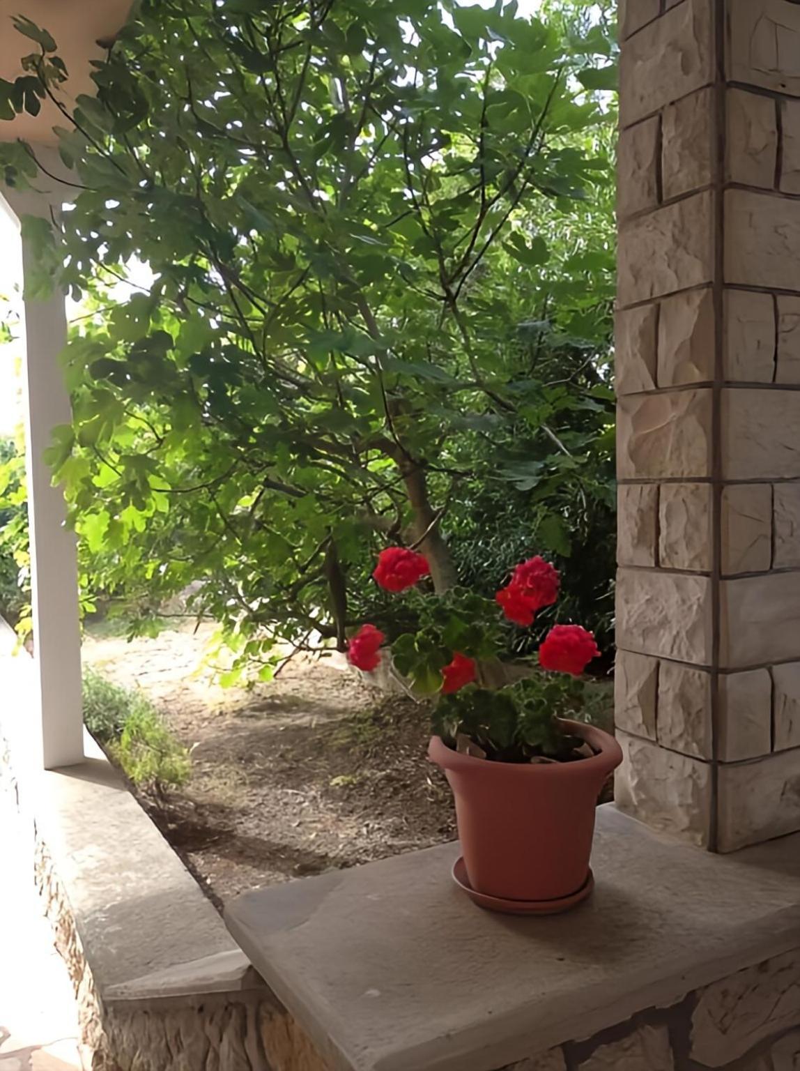 Cozy Apartments Danica Novalja With Terrace - First Floor Esterno foto